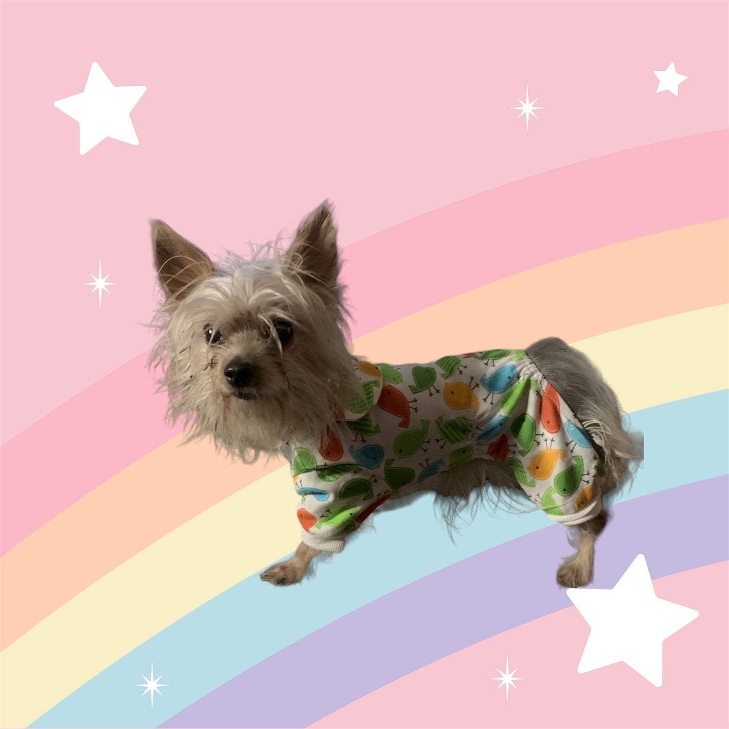 pajama for dogs and cats with colorful birds