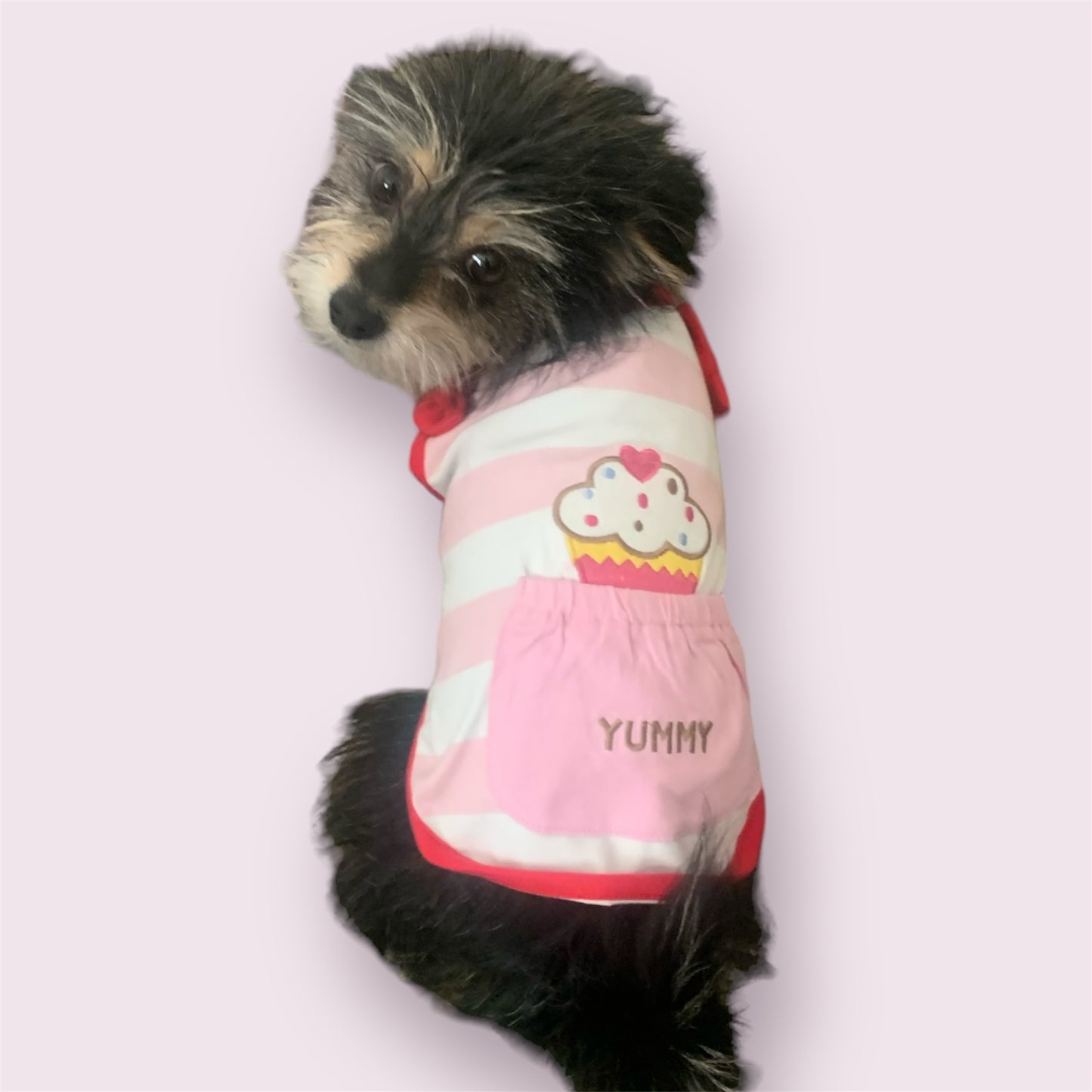 cupcake dress for dogs and cats with pocket